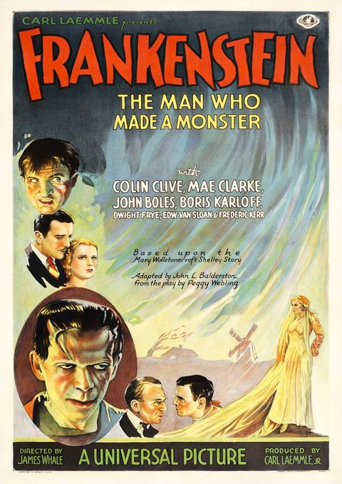 Frankenstein 1st Edition poster